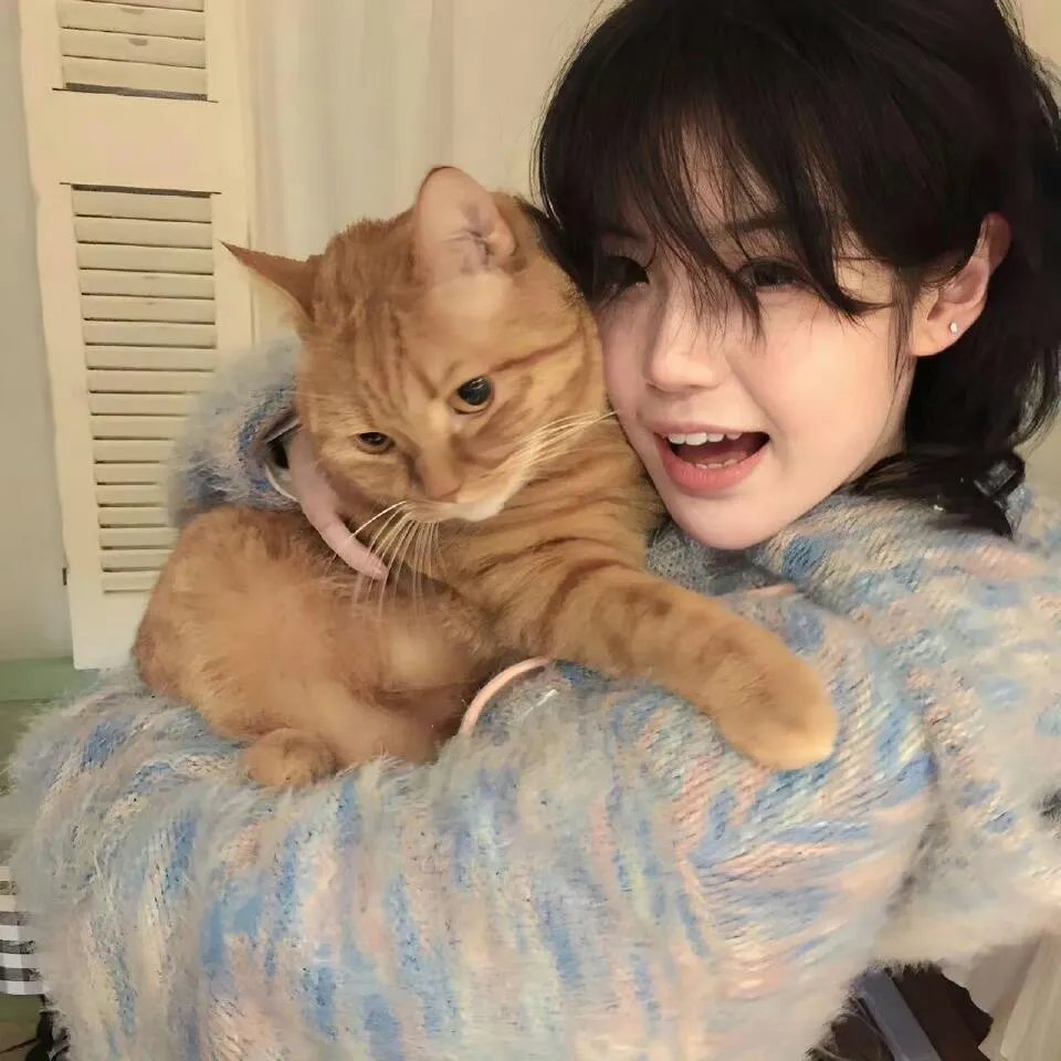 墨西哥太平间的九具尸体