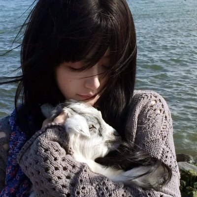 猫胆虫威大电影