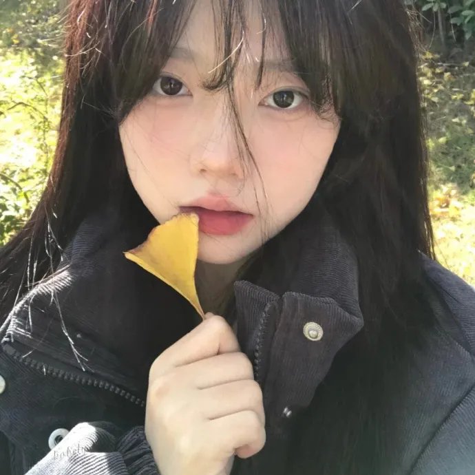 武林风云